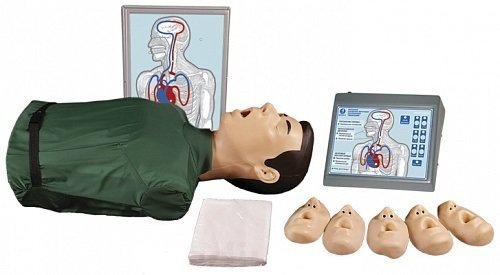 Тренажер сердечно-легочной и мозговой реанимации Т2 Максим III