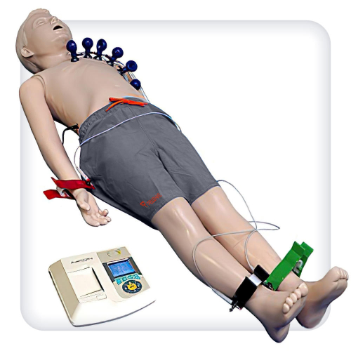 Тренажер для отработки навыков ЭКГ